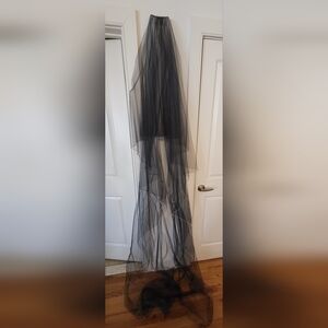 Cathedral Length Elegant Black Veil With Blusher